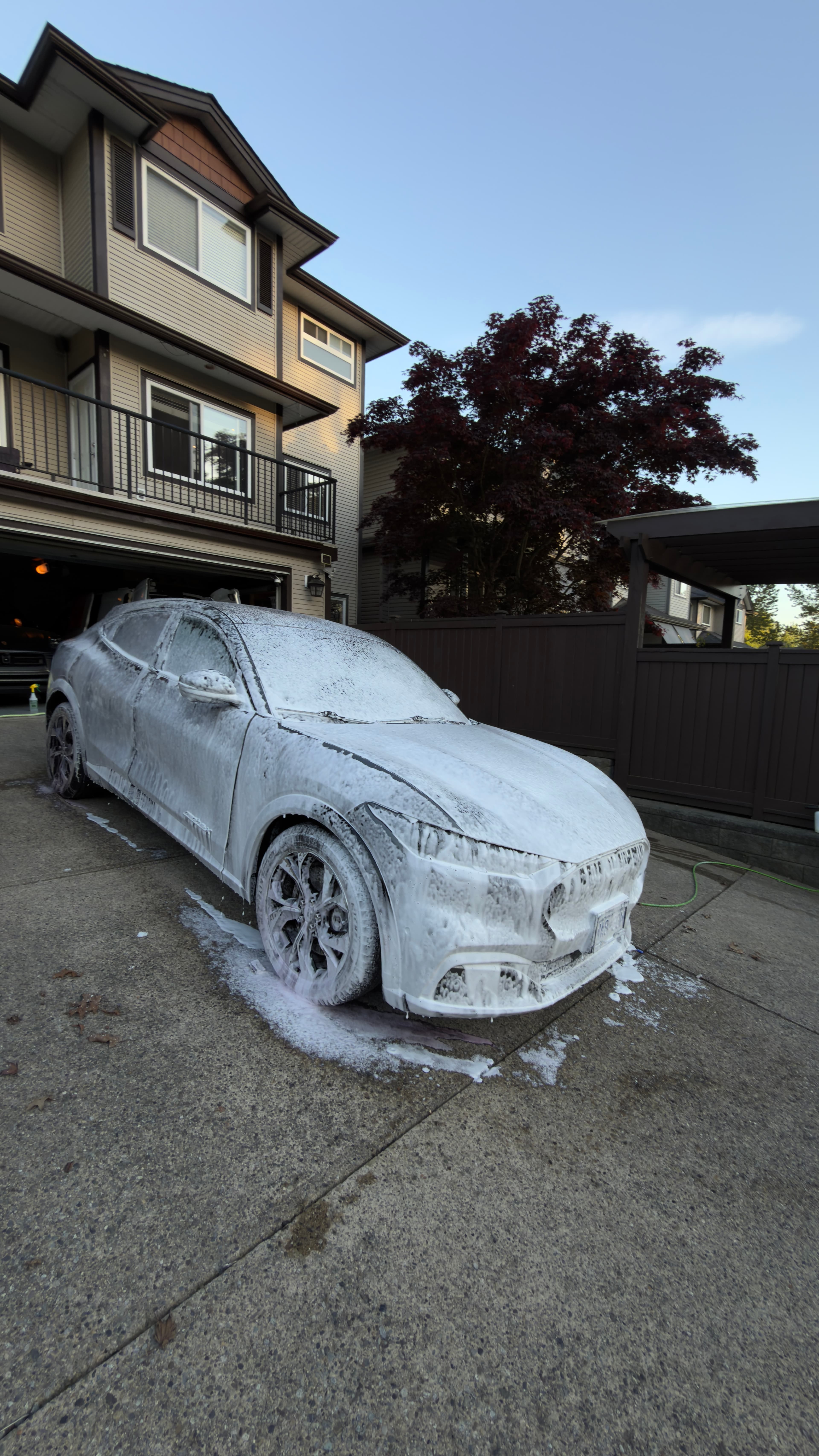 Pitt Meadows car detailing