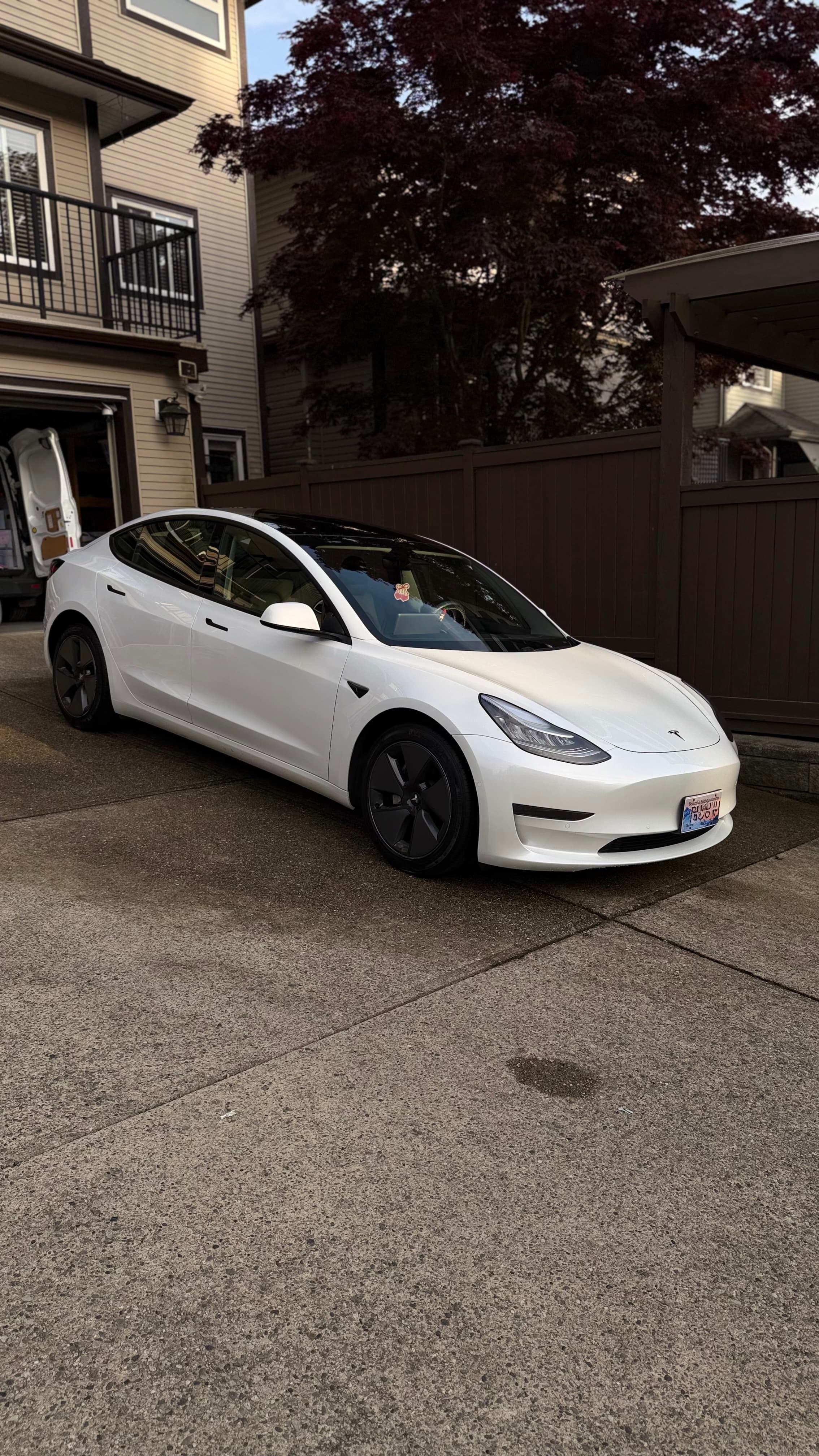 West Vancouver luxury car detailing